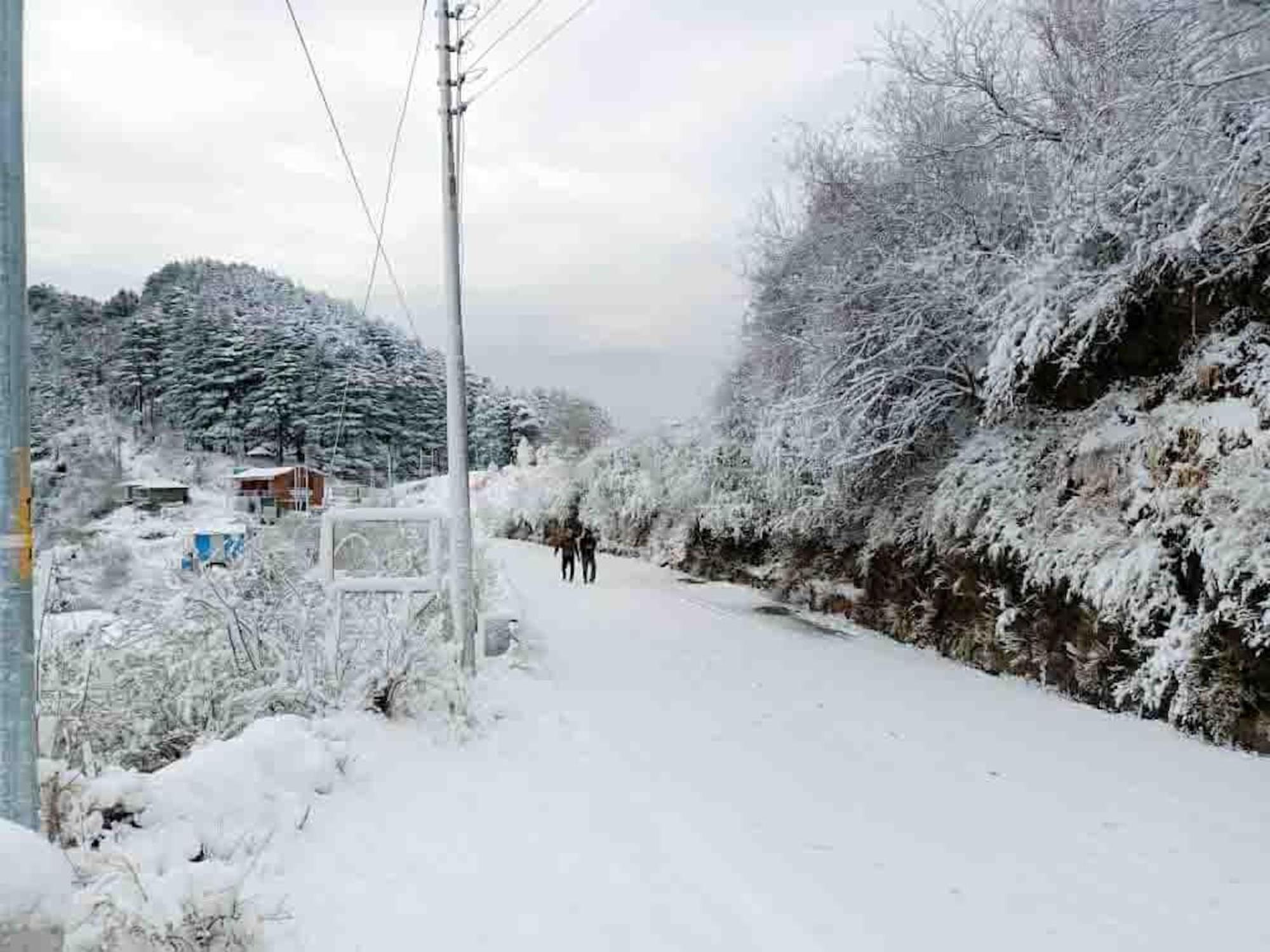La Riqueza Kanatal #Mountain View Rooms # Near To Kodia Forest Jungle Saafari # 05 Mins From Adventure Activities Экстерьер фото